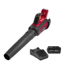 Honda Akku-Laubbläser HHB36 BXB – inkl. Akku & Ladegerät
