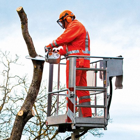 STIHL Baumpflegesäge MS 201 TC-M, PS3, Schienenlänge 30cm – Bild 3