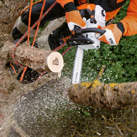 STIHL Baumpflegesäge MS 201 TC-M, PS3, Schienenlänge 30cm – Bild 4