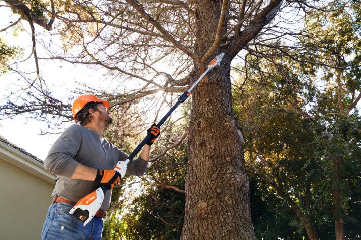 STIHL Akku-Hochentaster HTA 50 – inkl. Akku & Ladegerät – Bild 3