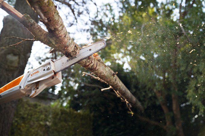 STIHL Hochentaster HTA 50, ohne Akku & Ladegerät – Bild 4